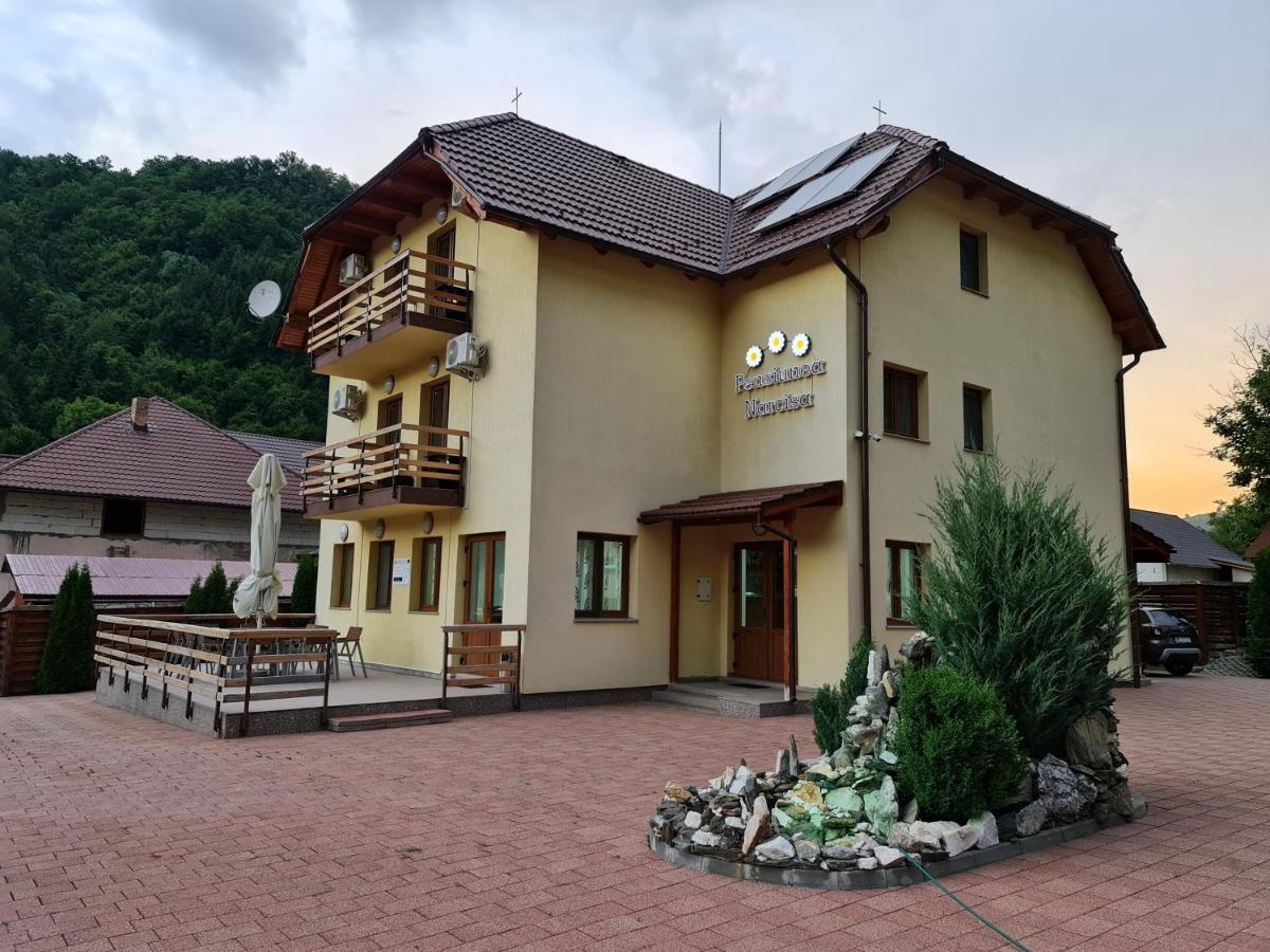 Pensiunea Narcisa Romuli Exterior photo